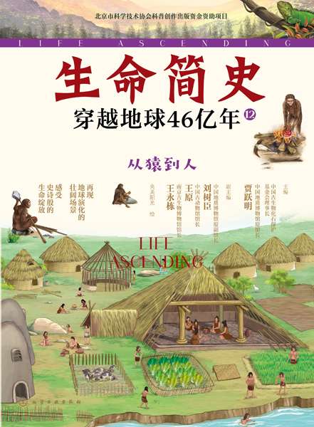 生命简史——穿越地球46亿年:从猿到人