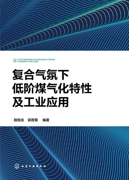 复合气氛下低阶煤气化特性及工业应用