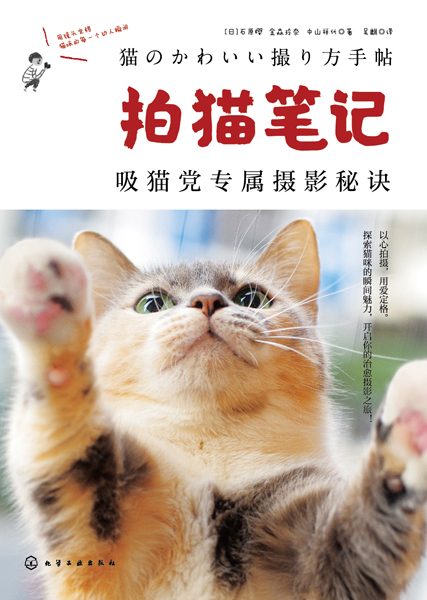 拍猫笔记——吸猫党专属摄影秘诀