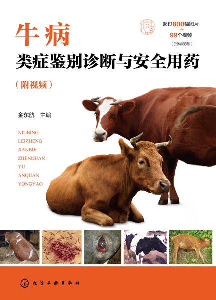 牛病类症鉴别诊断与安全用药——附视频:
