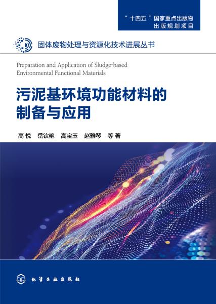 污泥基环境功能材料的制备与应用