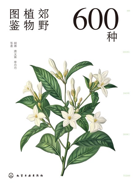600种郊野植物图鉴