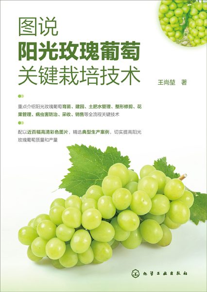 图说阳光玫瑰葡萄关键栽培技术