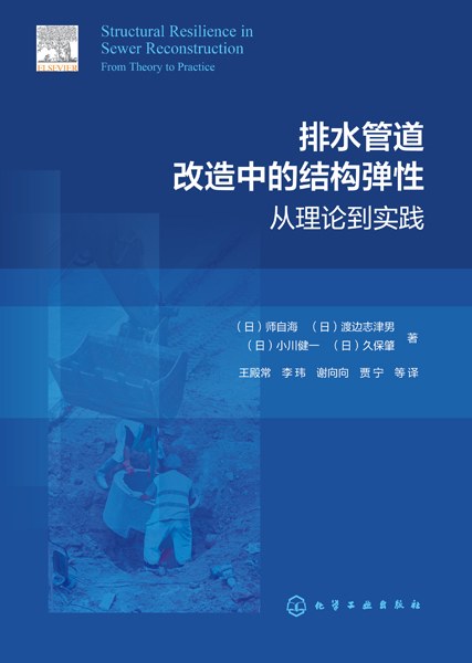 排水管道改造中的结构弹性——从理论到实践——from theory to practice