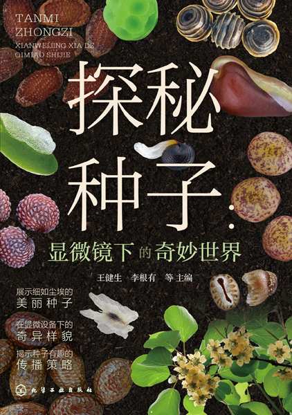 探秘种子——显微镜下的奇妙世界