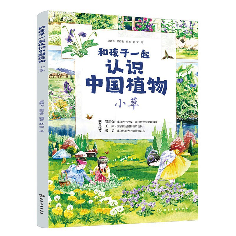 和孩子一起认识中国植物:小草