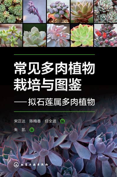 常见多肉植物栽培与图鉴——拟石莲属多肉植物