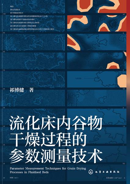 流化床内谷物干燥过程的参数测量技术