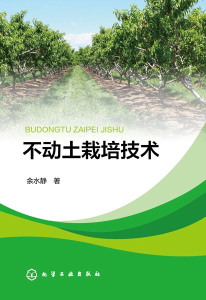 不动土栽培技术