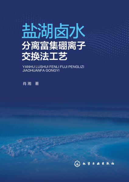 盐湖卤水分离富集硼离子交换法工艺