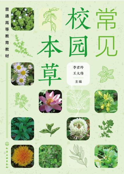 常见校园本草