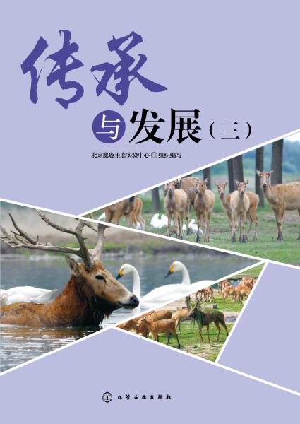 传承与发展(三)