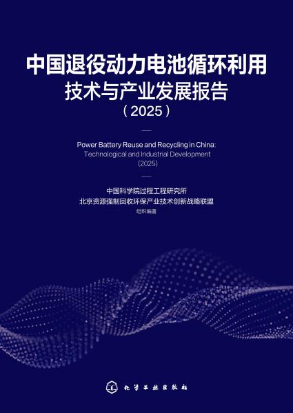 中国退役动力电池循环利用技术与产业发展报告(2025)(2025)