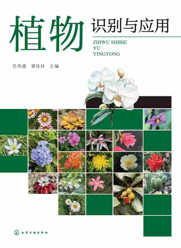 植物识别与应用