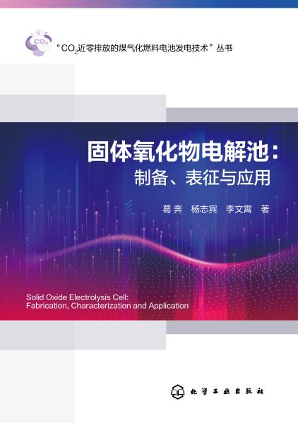 固体氧化物电解池——制备、表征与应用