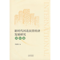 新时代河北民营经济发展研究:国际篇