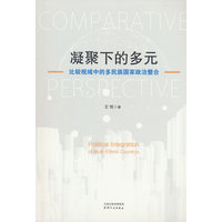 凝聚下的多元：比较视域中的多民族国家政治整合