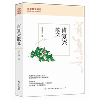 肖复兴散文
