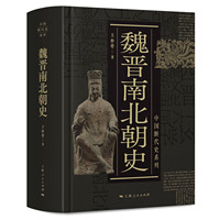 魏晋南北朝史
