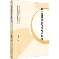 数字贸易规则与高水平开放