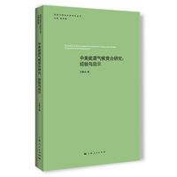 中美能源气候竞合研究——经验与启示——experience and enlightenment