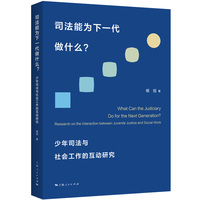 司法能为下一代做什么？：少年司法与社会工作的互动研究