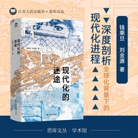 现代化的迷途