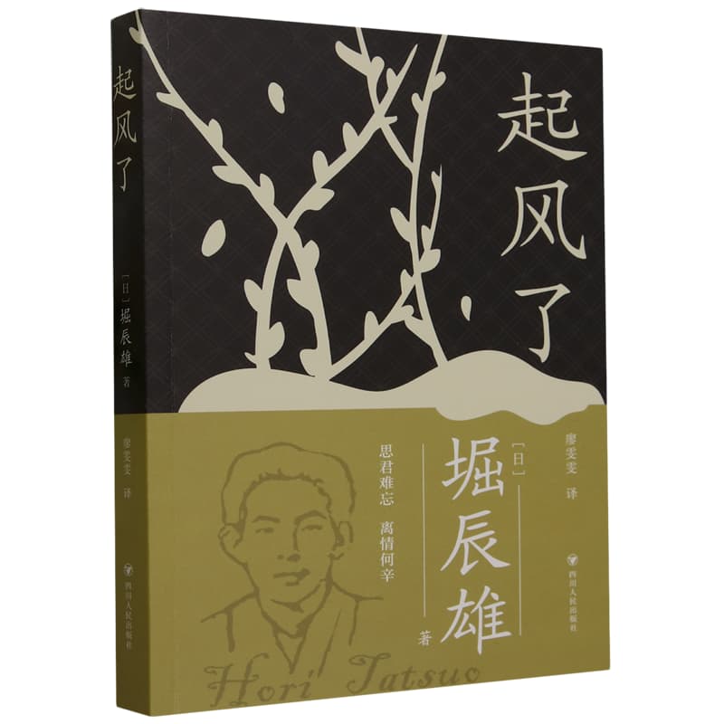 起风了