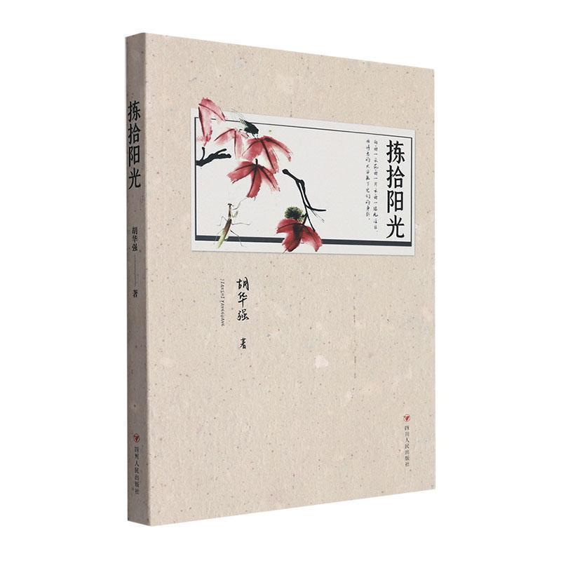 拣拾阳光