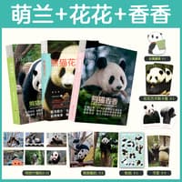 熊猫福宝