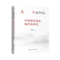 中国国家安全现代化研究