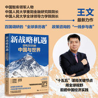 新战略机遇——迈向2035的中国与世界