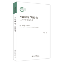 互联网电子证据论：以刑事诉讼为视角