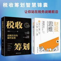 税收筹划战略方法与操作实务