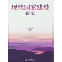 现代国家建设研究