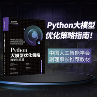 Python大模型优化策略：理论与实践