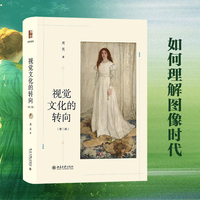 视觉文化的转向