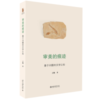 审美的痕迹：基于问题的文学认知