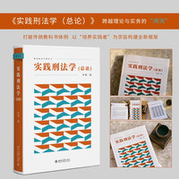 实践刑法学（总论）
