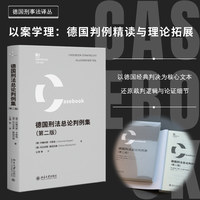 德国刑法总论判例集