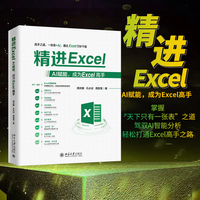 精进Excel：AI赋能，成为Excel高手