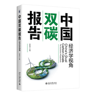 中国双碳报告：经济学视角