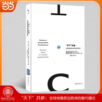 “天下”共参：全球地缘政治秩序的替代模式