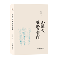 小说史：理论与实践