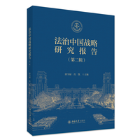 法治中国战略研究报告·第二辑