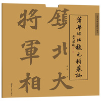 萧华临北魏元桢墓志