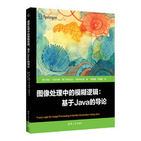 图像处理中模糊逻辑——基于Java的导论