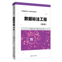 数据标注工程