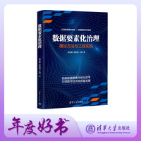 数据要素化治理——理论方法与工程实践