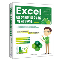 Excel财务数据分析与可视化——视频教学版